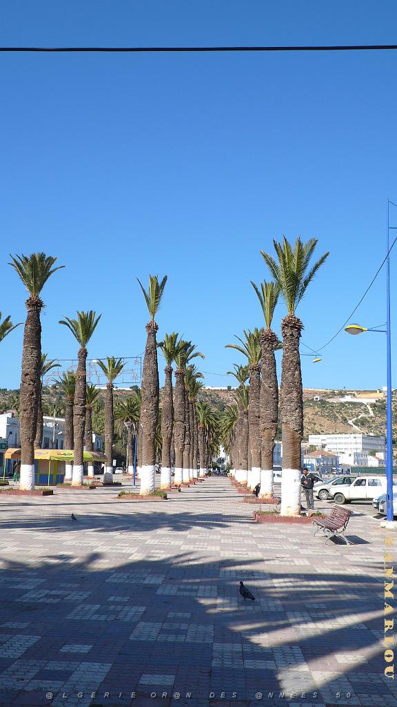 ORAN MARS 2012 51 arzew.JPG